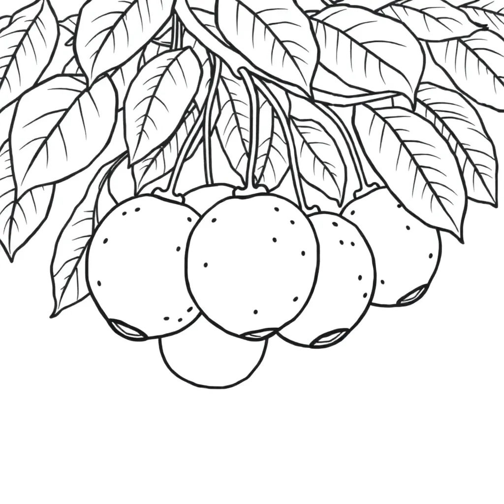 Fruits coloring page