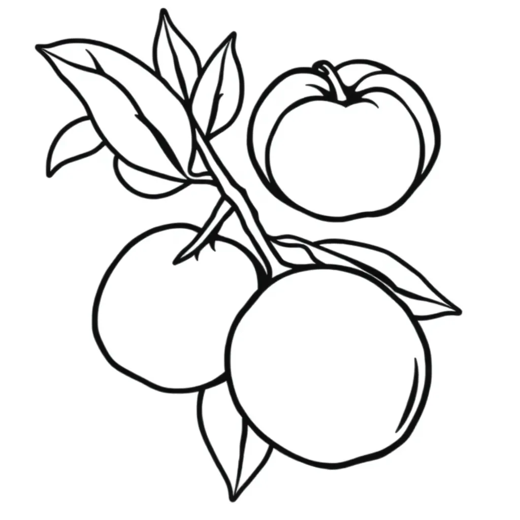 Fruits coloring page